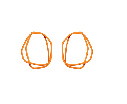 Auskarai su kilpomis