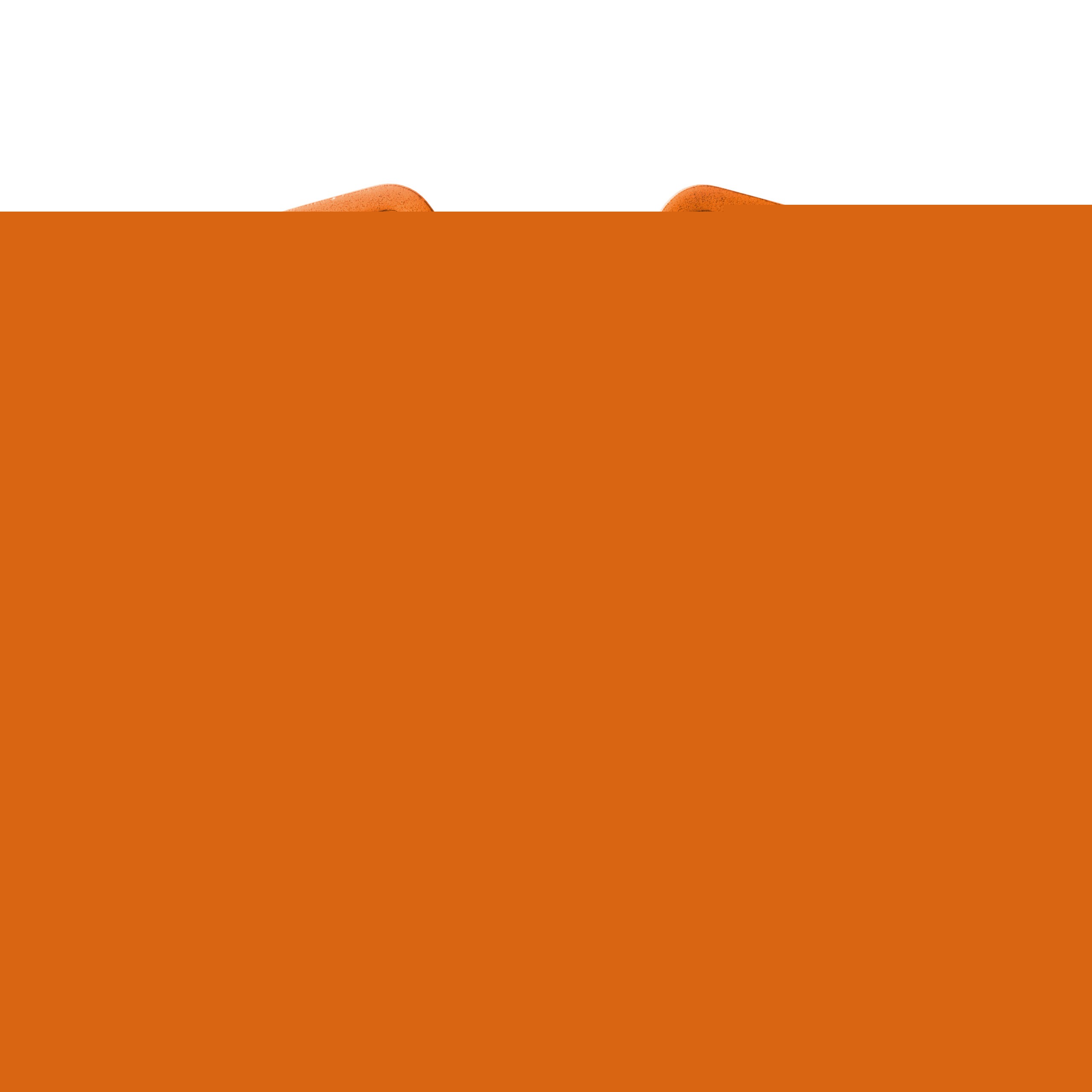 Color Frames Earrings