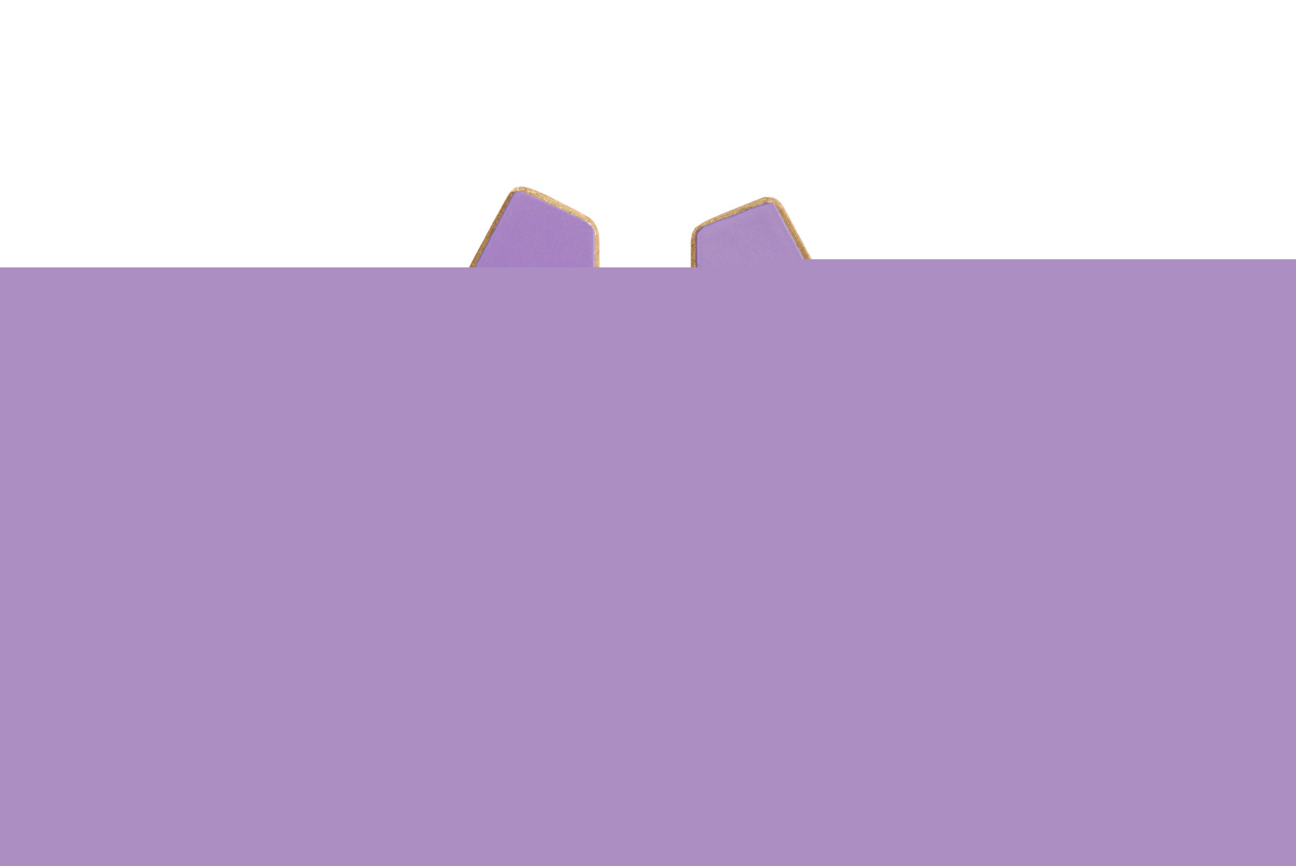 Folded Slim Earrings