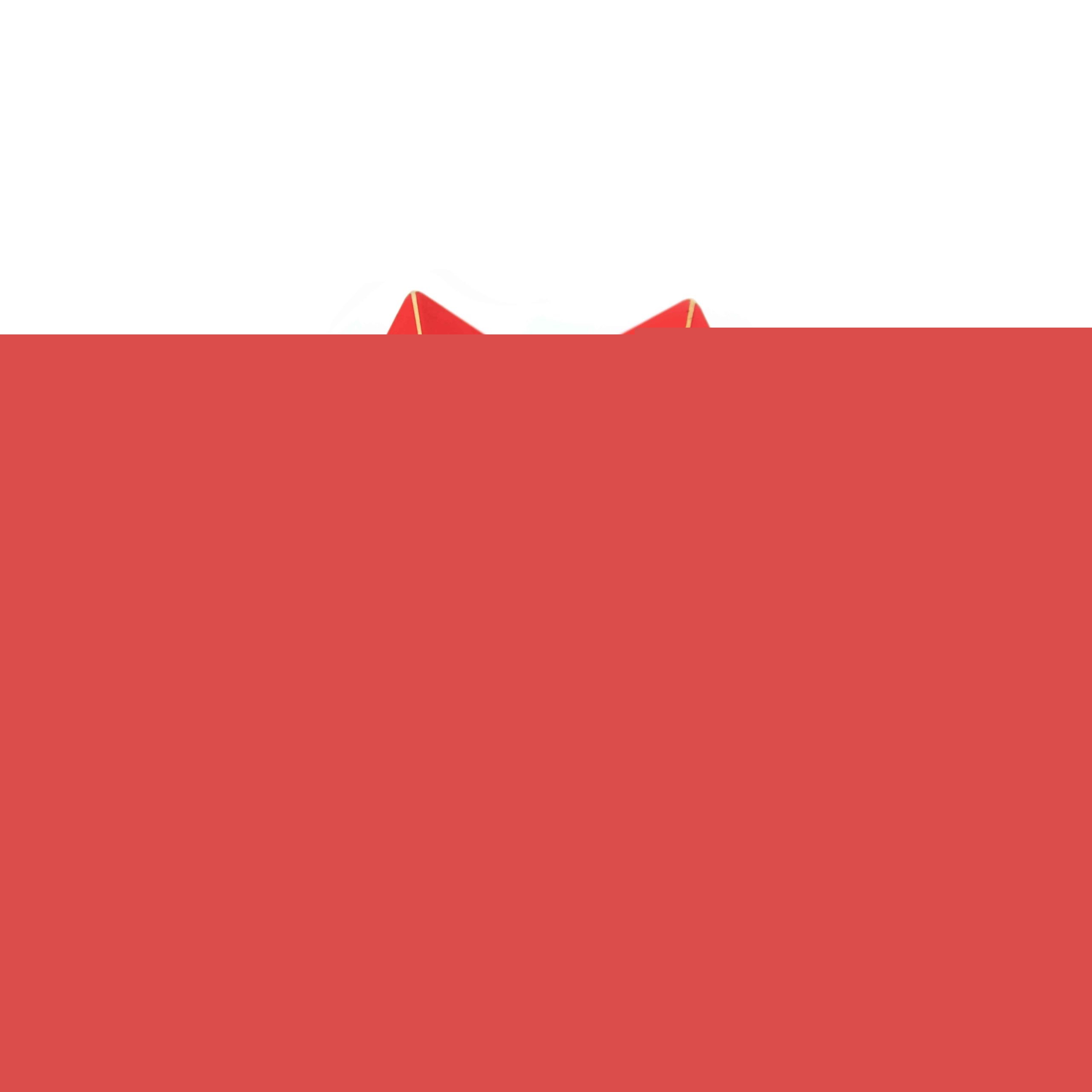 Folded Vertical Earrings