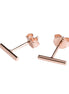 Dash Earrings - Rose Gold, Silver and Black